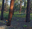 photo thumbnail #3