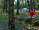 photo thumbnail #5
