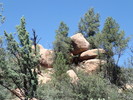 photo thumbnail #15