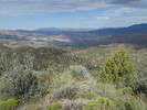 photo thumbnail #15