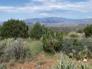 photo thumbnail #10