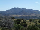 photo thumbnail #14