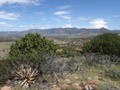 photo thumbnail #9