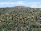 photo thumbnail #14