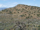 photo thumbnail #15