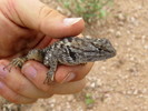 photo thumbnail #7