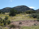photo thumbnail #1