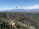photo thumbnail #9