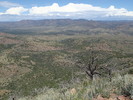 photo thumbnail #11
