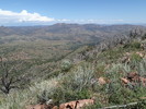 photo thumbnail #12