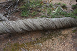 photo thumbnail #10