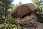 photo thumbnail #11