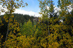 photo thumbnail #13