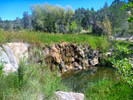 photo thumbnail #11