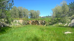 photo thumbnail #12