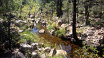 photo thumbnail #10
