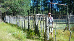 photo thumbnail #4
