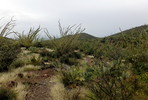 photo thumbnail #10