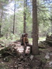 photo thumbnail #5