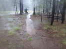 photo thumbnail #10