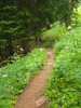photo thumbnail #6
