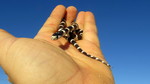 photo thumbnail #5