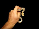 photo thumbnail #3