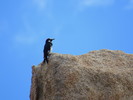 photo thumbnail #9