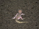 photo thumbnail #14