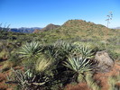 photo thumbnail #7