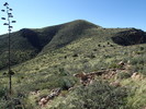 photo thumbnail #14