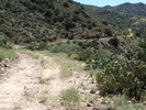 photo thumbnail #3