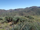 photo thumbnail #6