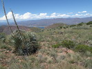photo thumbnail #12