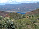 photo thumbnail #15