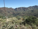 photo thumbnail #3