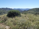 photo thumbnail #5