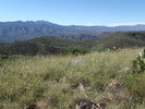 photo thumbnail #7