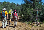 photo thumbnail #3