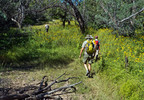 photo thumbnail #6