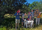 photo thumbnail #9