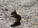 photo thumbnail #13