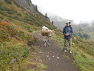 photo thumbnail #6