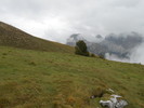 photo thumbnail #12