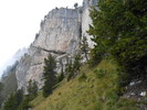 photo thumbnail #14