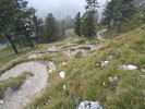 photo thumbnail #15