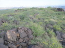 2014-09-20 :2: Yellow Peak - Superstitions :: wallyfrack