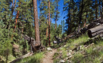 photo thumbnail #7