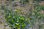 photo thumbnail #15