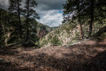 photo thumbnail #11